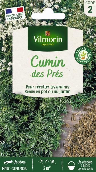 Aromatiques - Cumin des Prés - PACKAGING_RECTO